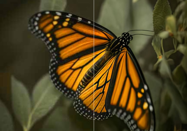 Topaz Image Upscaler API по лучшей цене